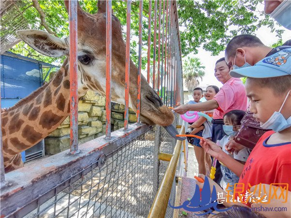 ����԰�ο��糱