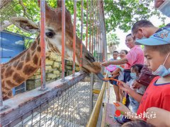 ����԰�ο��糱