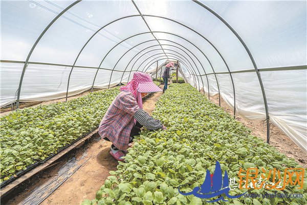 ��ƶ·�ϣ�ССʥŮ����������ʵ��