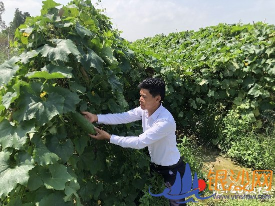 点亮“田园梦” 引领乡邻致富奔康