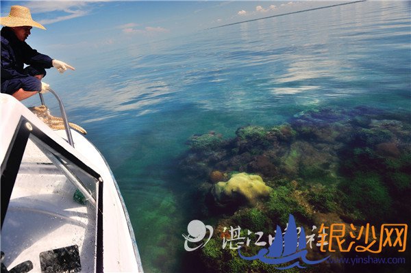 �й���ѧԺ�Ϻ������о���ר�ҵ����ŵ���