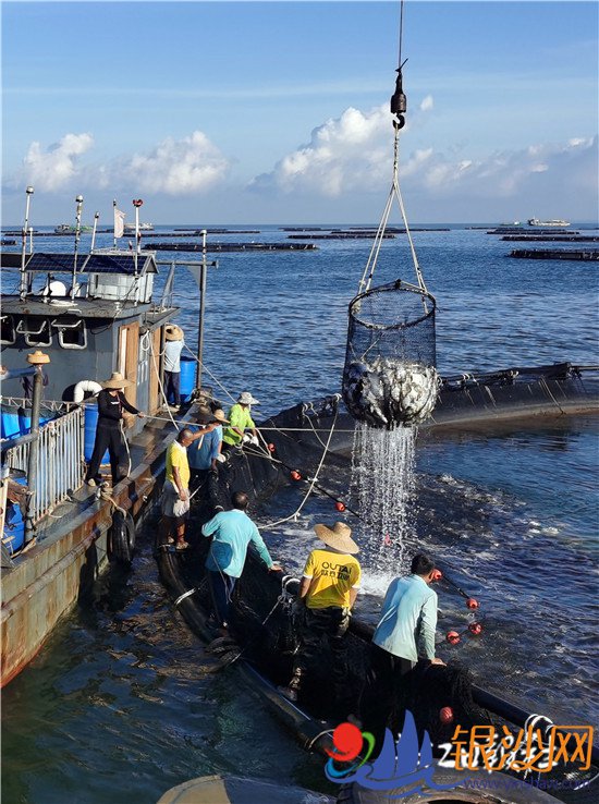 �������ɫ��