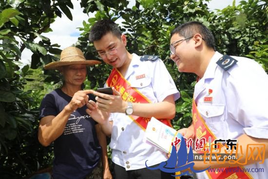 大埔税务人员向柚农推广电子税务局网上代开发票功能。大埔县税务局供图 大埔税务人员向柚农推广电子税务局网上代开发票功能。大埔县税务局供图