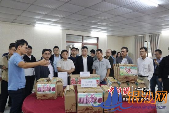 考察团一行正在认真考察了阳西县的扶贫项目。大横琴供图 考察团一行正在认真考察了阳西县的扶贫项目。大横琴供图