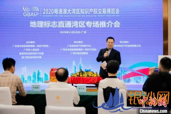 推介会现场。 2020知交会组委会 供图 推介会现场。 2020知交会组委会 供图