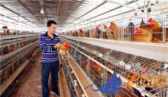 牧草种养走出致富路