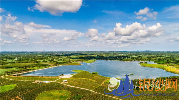 ��Ϫ��Χ��2020�й���������񵥡�