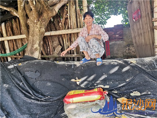 �����ս���ȫ������