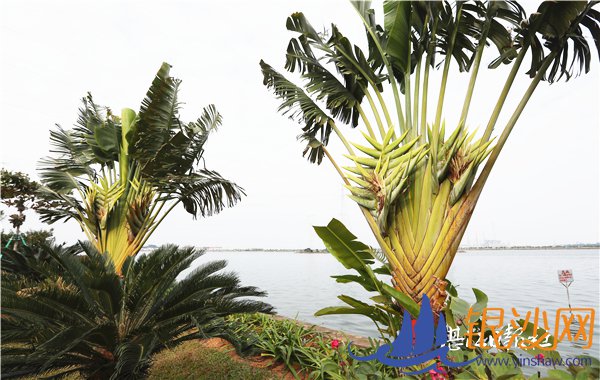 �������˽��翪����ȸ