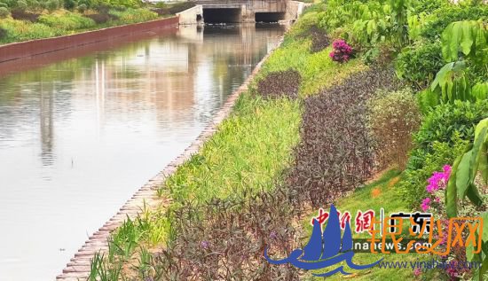 焕然一新的河道。朱瑞摄影 焕然一新的河道。朱瑞摄影