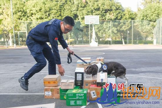 �����ֳ����˾�Ȯ���ض���������Ʒ�����������������������Ӱ 