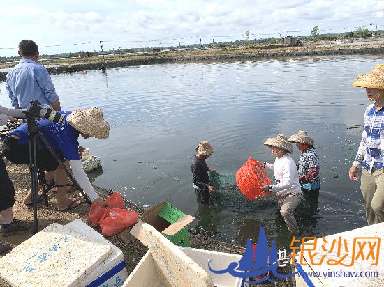 ��e�������������Ҹ�������