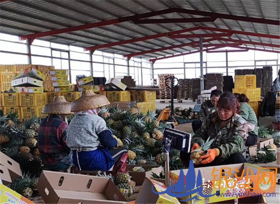 ���Ų�����Ʈ����İ���