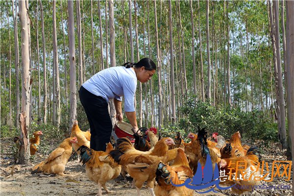 ƶ�����������������ˡ�