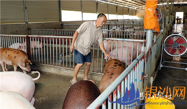 ƶ�����������������ˡ�