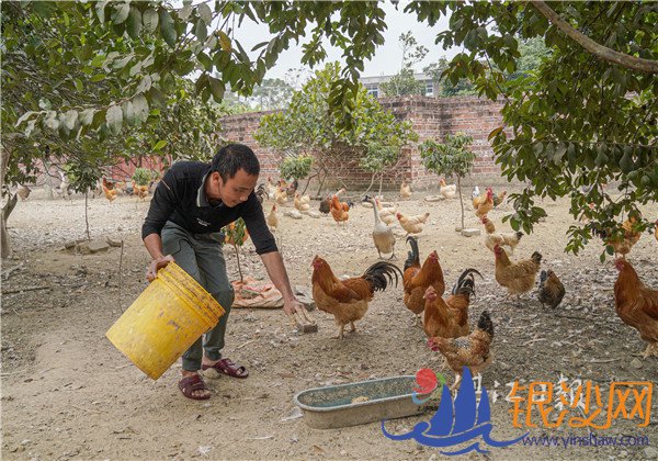 �����Ӵ���������ƶ�����ӹ�������˫�ַ�ת����