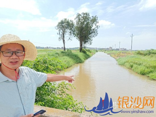 吴川樟铺条条河渠泛清波