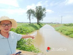 吴川樟铺条条河渠泛清波