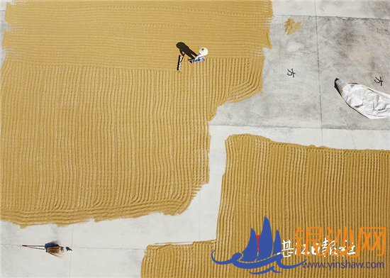 �����������ɱ�������԰