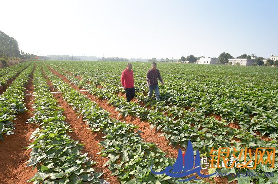 ������ҵ��ƶ ������ƶ����