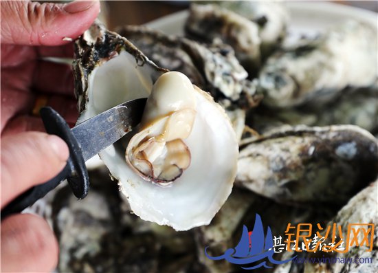 ���������� д��ƶ����