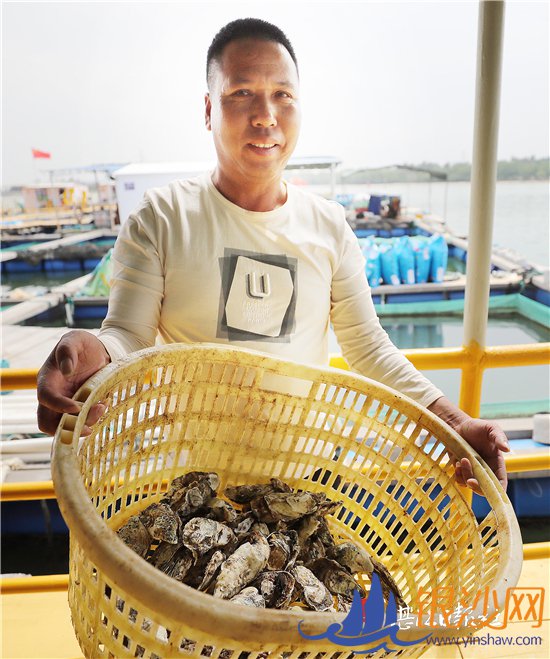 ���������� д��ƶ����