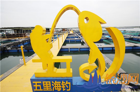 ���������� д��ƶ����