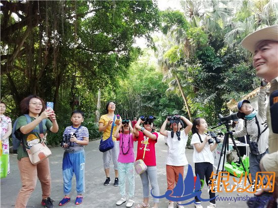 每年冬天数以万计的候鸟飞临湛江观鸟热潮在港城日渐兴起 观鸟:自然剧场馈赠的免费门票