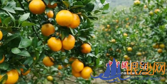 ���칱�̡��̾�ΰ��Ӱ 