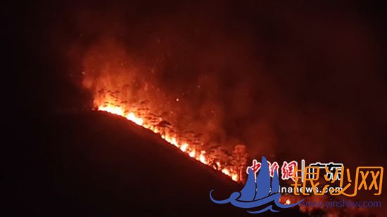 武警韶关支队供图 武警韶关支队供图