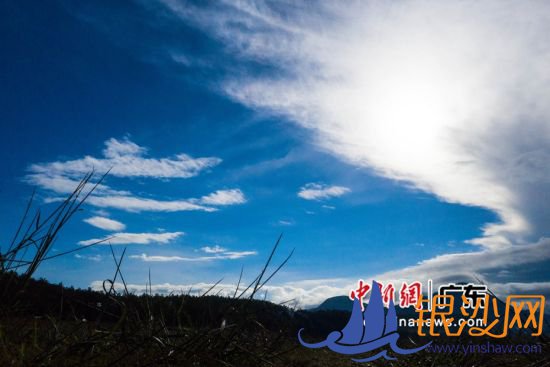 ͼΪ��������ġ���ԭ�ƺ���ۡ����ݶ���ί��֯����ͼ 