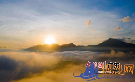 ͼΪ��������ġ���ԭ�ƺ���ۡ����ݶ���ί��֯����ͼ 