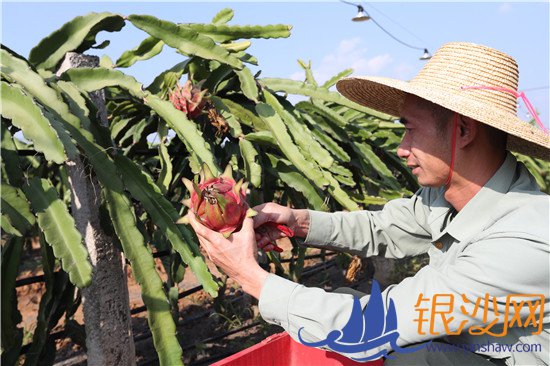 רҵ��ֲ����ũ���¸�